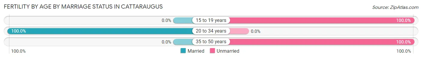 Female Fertility by Age by Marriage Status in Cattaraugus