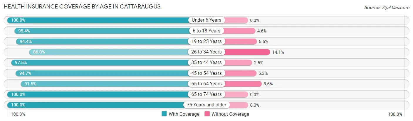 Health Insurance Coverage by Age in Cattaraugus