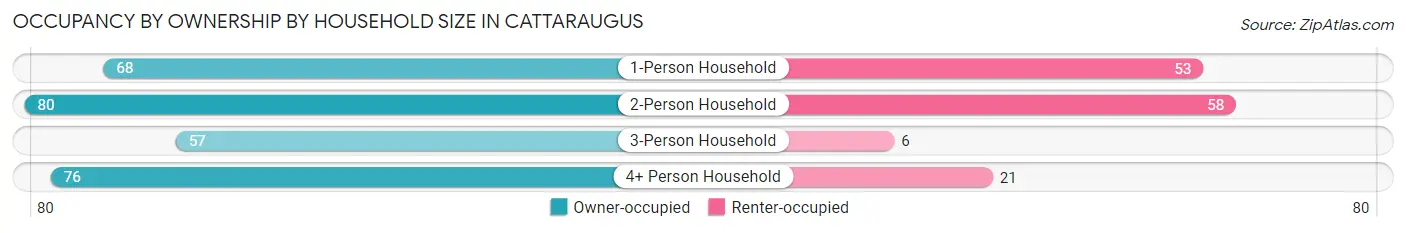 Occupancy by Ownership by Household Size in Cattaraugus
