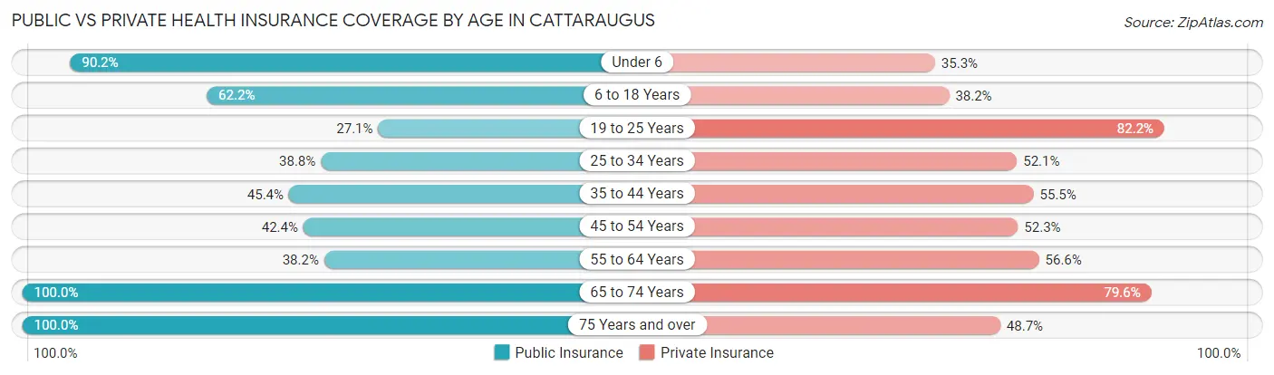 Public vs Private Health Insurance Coverage by Age in Cattaraugus