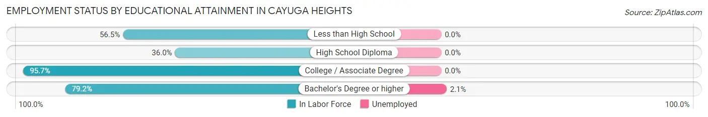 Employment Status by Educational Attainment in Cayuga Heights