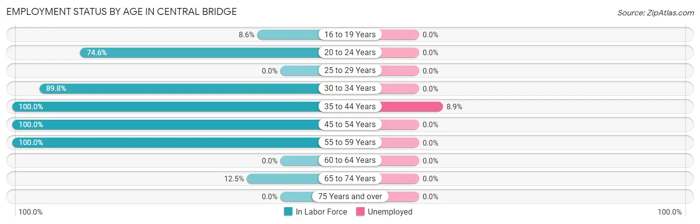 Employment Status by Age in Central Bridge