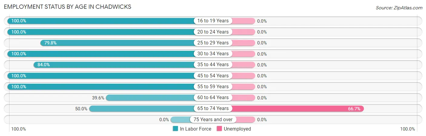 Employment Status by Age in Chadwicks