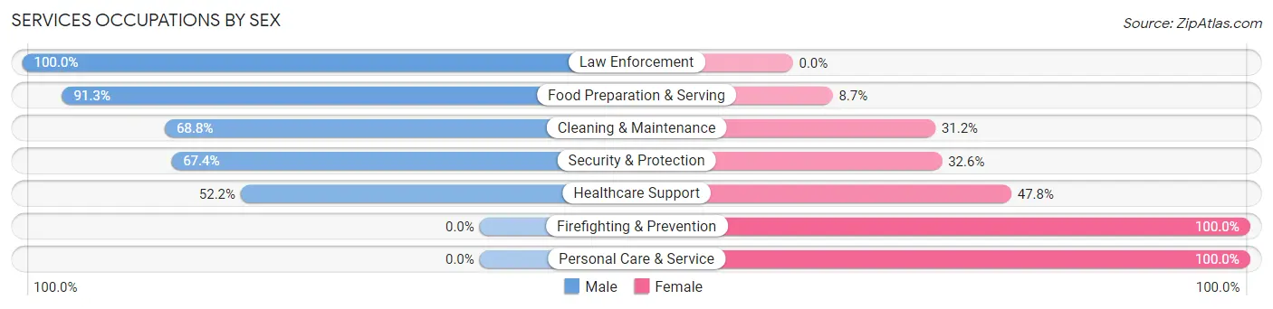 Services Occupations by Sex in Chittenango