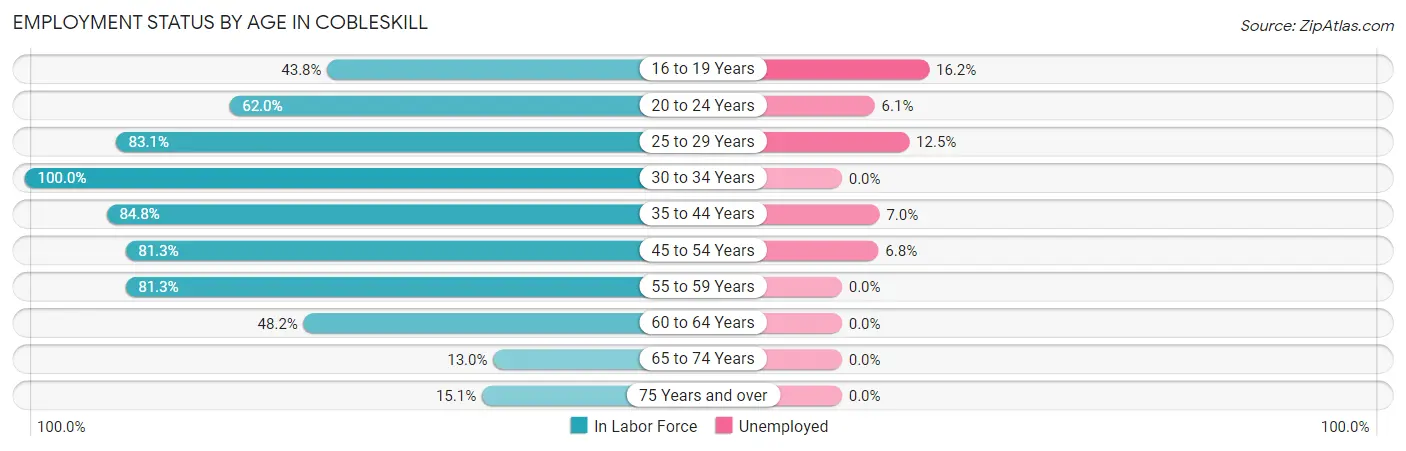 Employment Status by Age in Cobleskill