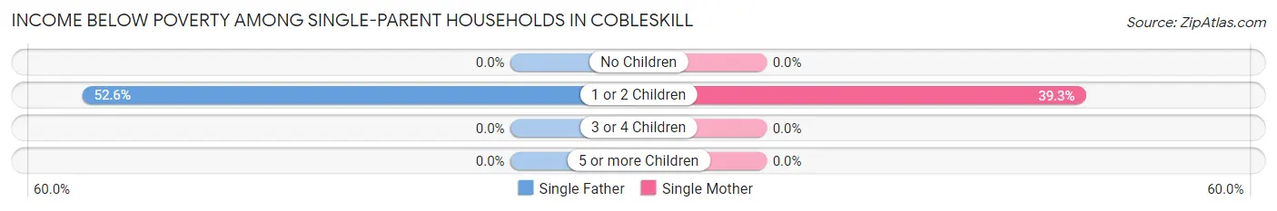 Income Below Poverty Among Single-Parent Households in Cobleskill