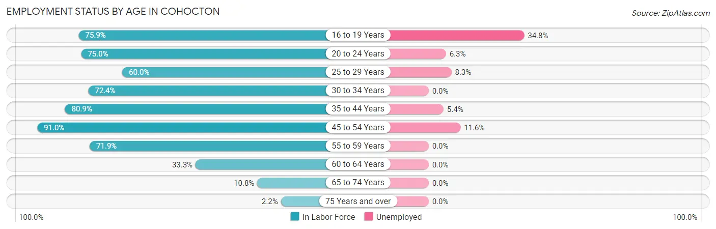 Employment Status by Age in Cohocton