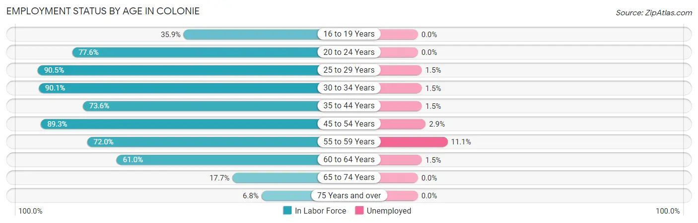 Employment Status by Age in Colonie
