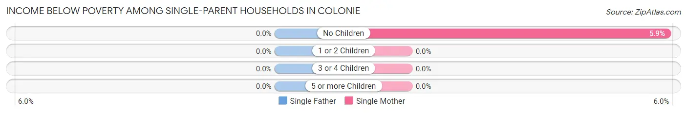 Income Below Poverty Among Single-Parent Households in Colonie