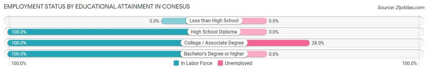 Employment Status by Educational Attainment in Conesus