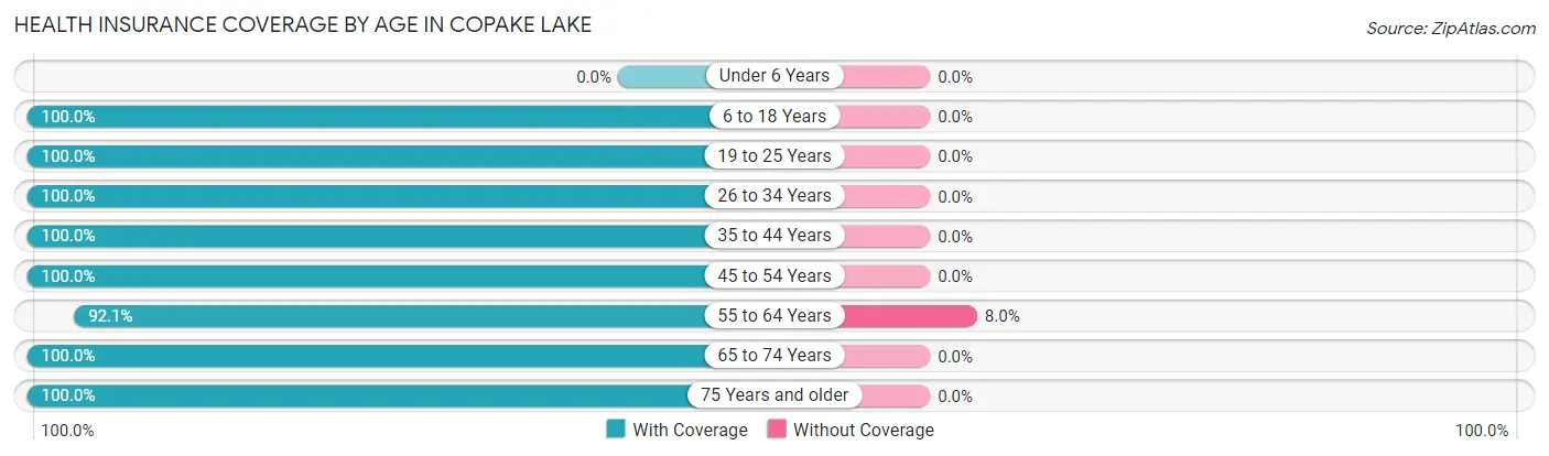 Health Insurance Coverage by Age in Copake Lake