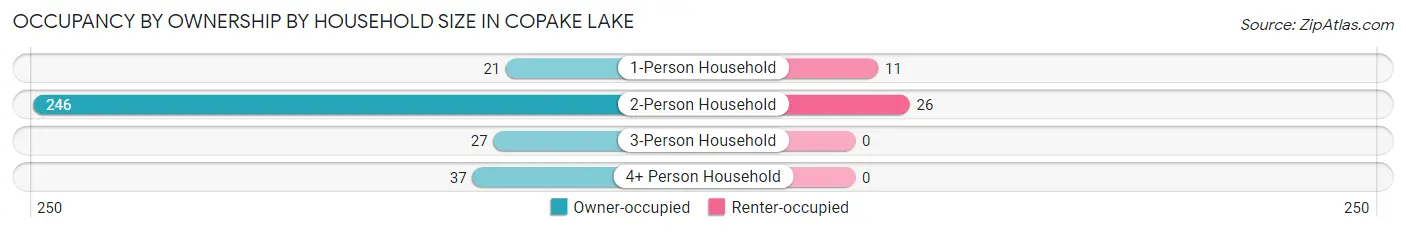 Occupancy by Ownership by Household Size in Copake Lake