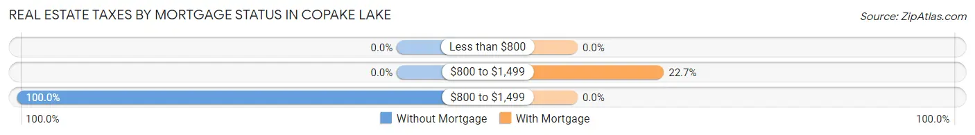 Real Estate Taxes by Mortgage Status in Copake Lake