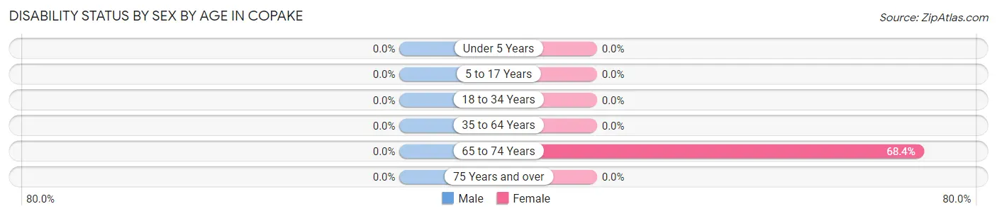 Disability Status by Sex by Age in Copake