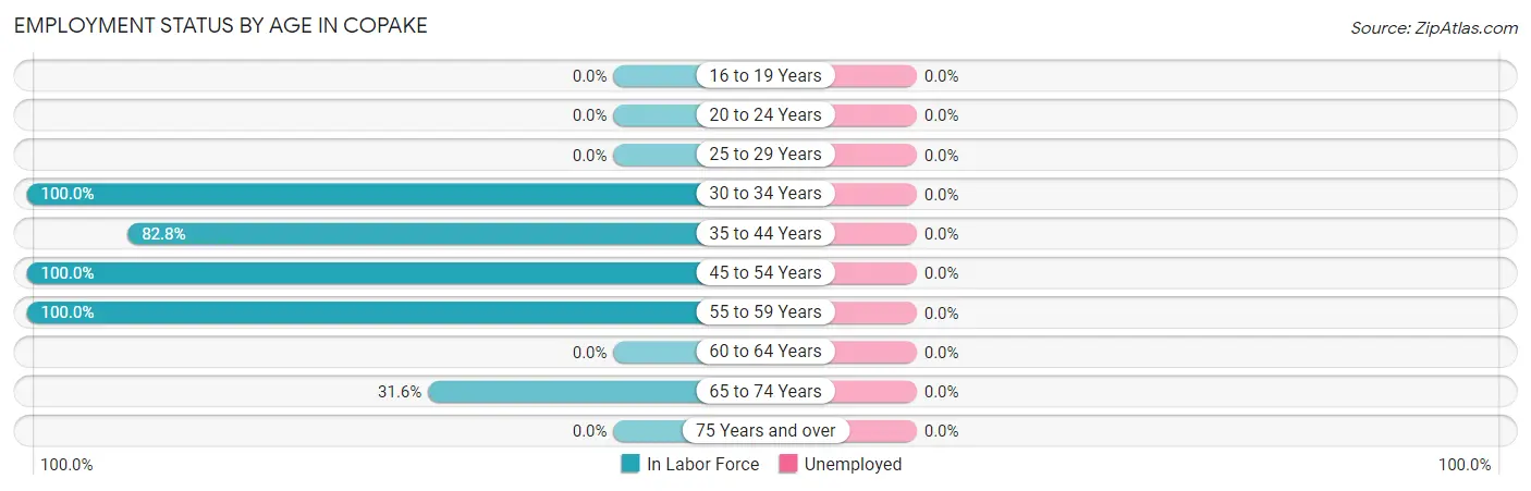 Employment Status by Age in Copake