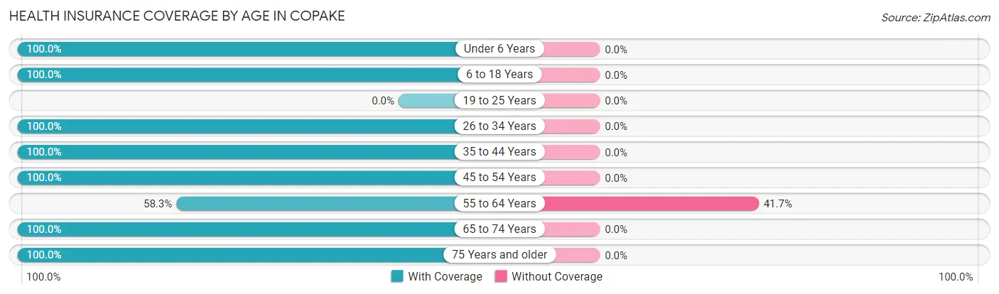 Health Insurance Coverage by Age in Copake