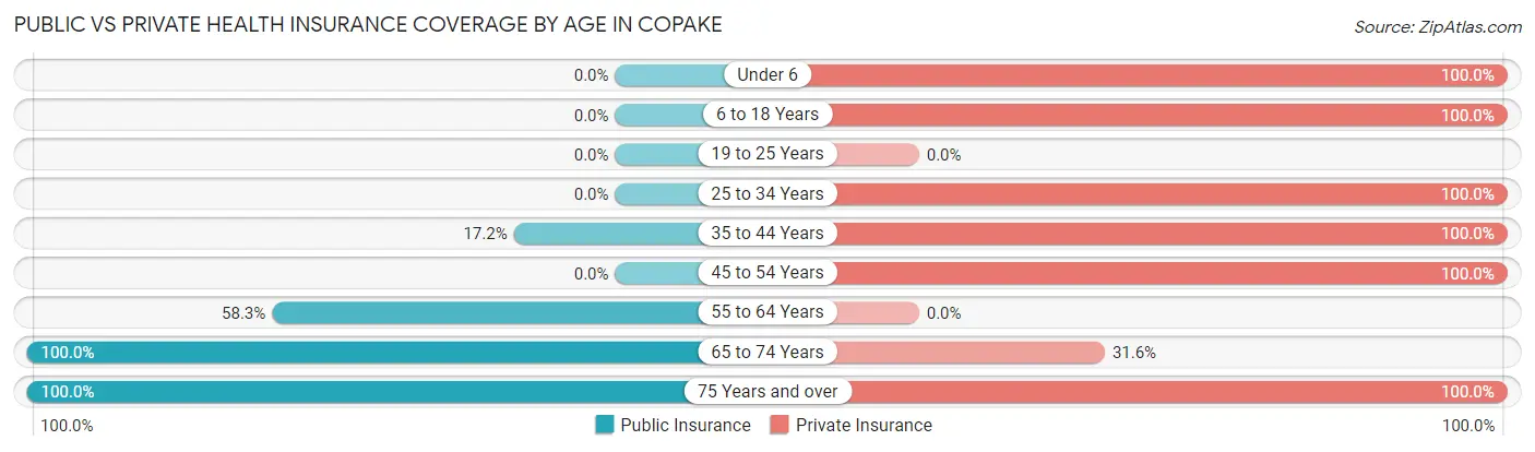 Public vs Private Health Insurance Coverage by Age in Copake