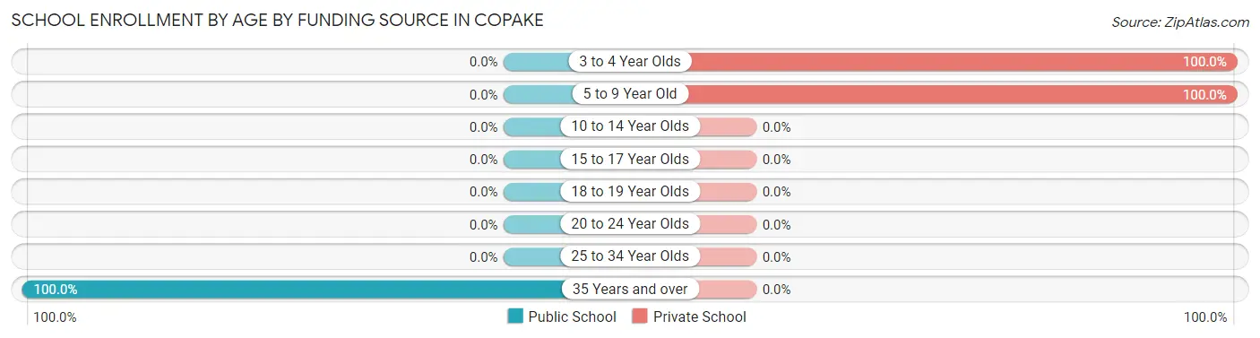 School Enrollment by Age by Funding Source in Copake