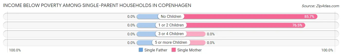 Income Below Poverty Among Single-Parent Households in Copenhagen