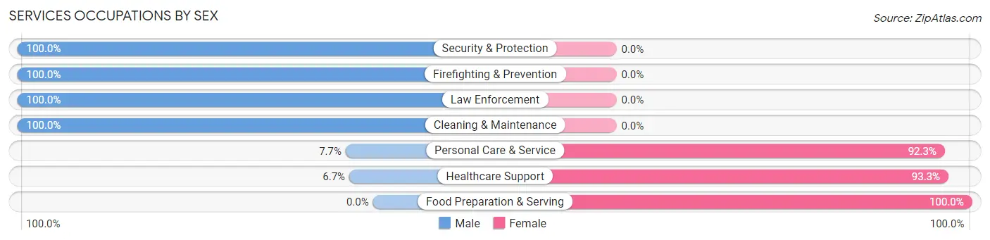 Services Occupations by Sex in Copenhagen