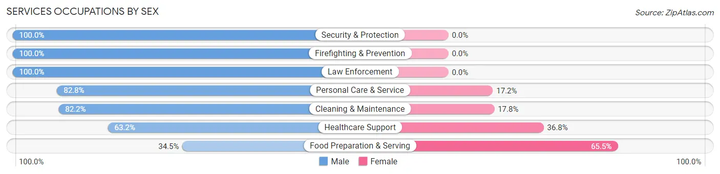 Services Occupations by Sex in Croton On Hudson