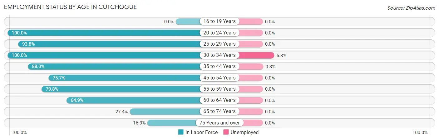 Employment Status by Age in Cutchogue