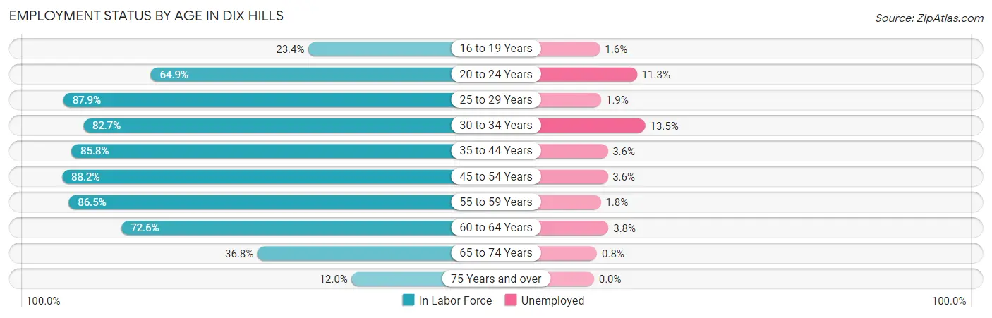 Employment Status by Age in Dix Hills