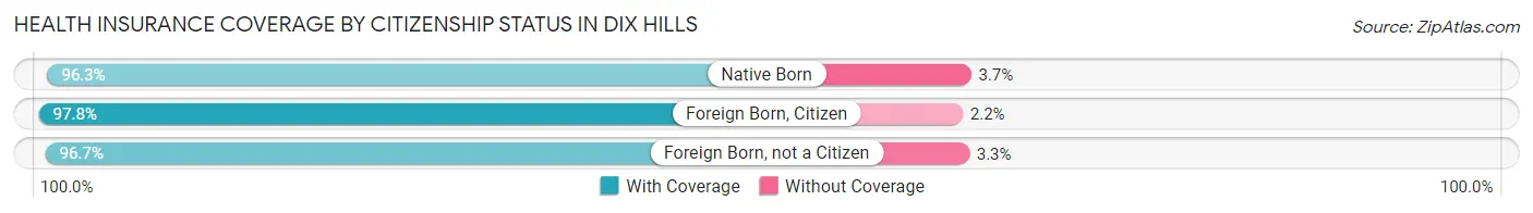 Health Insurance Coverage by Citizenship Status in Dix Hills