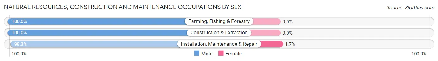 Natural Resources, Construction and Maintenance Occupations by Sex in Dix Hills