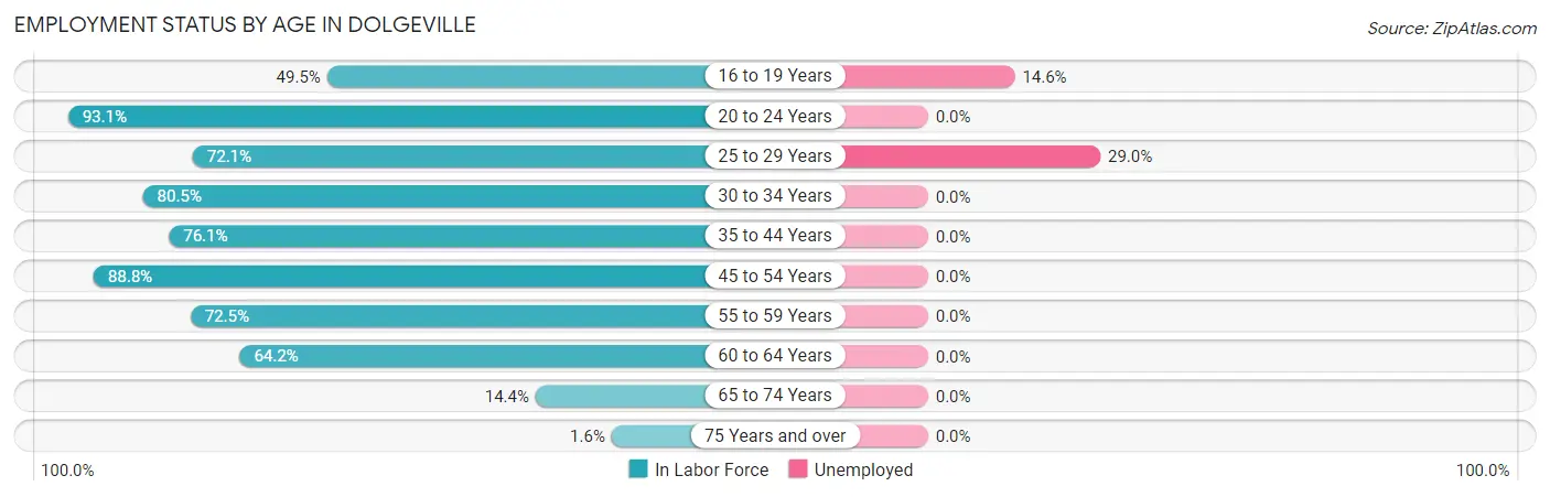 Employment Status by Age in Dolgeville