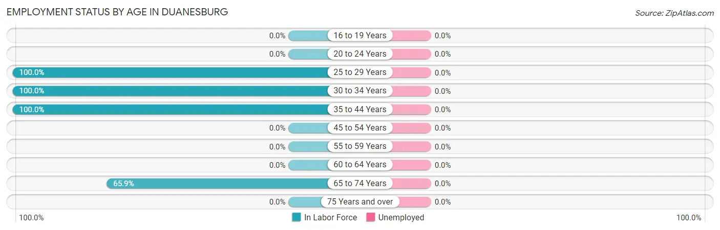 Employment Status by Age in Duanesburg