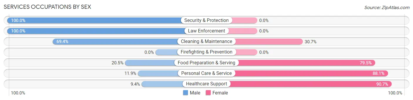 Services Occupations by Sex in Dundee