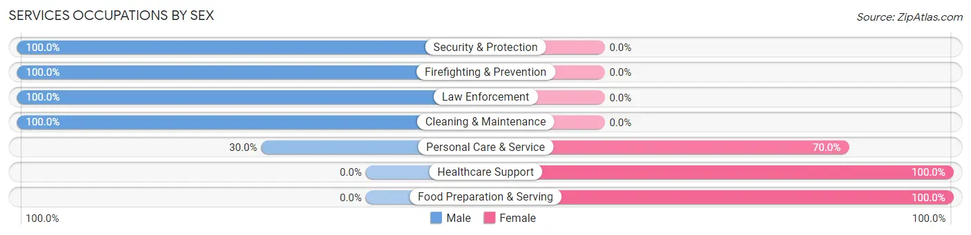 Services Occupations by Sex in East Norwich