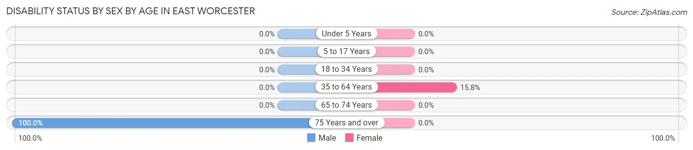 Disability Status by Sex by Age in East Worcester