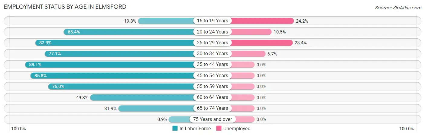 Employment Status by Age in Elmsford