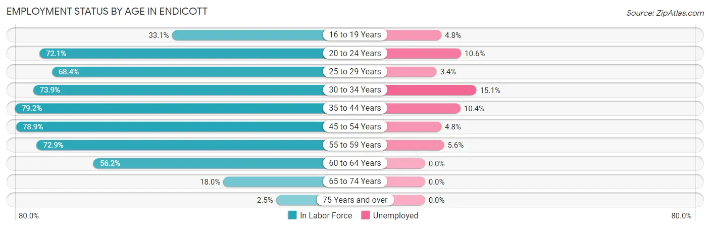 Employment Status by Age in Endicott