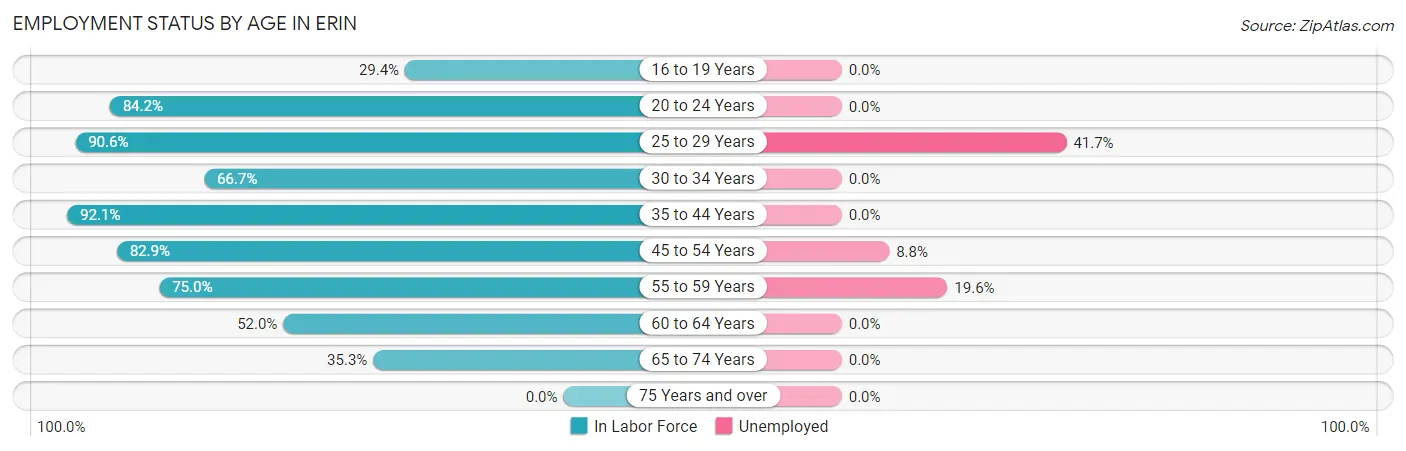 Employment Status by Age in Erin