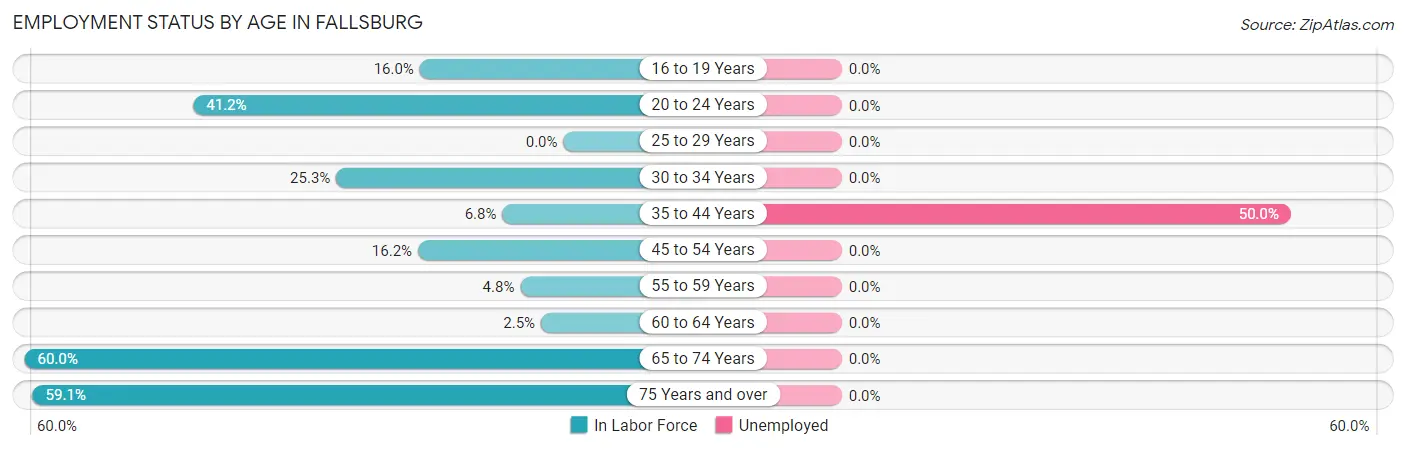 Employment Status by Age in Fallsburg