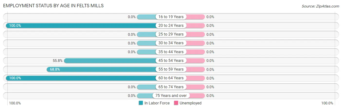 Employment Status by Age in Felts Mills