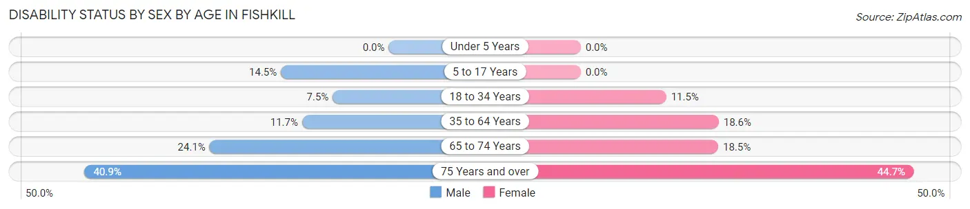 Disability Status by Sex by Age in Fishkill