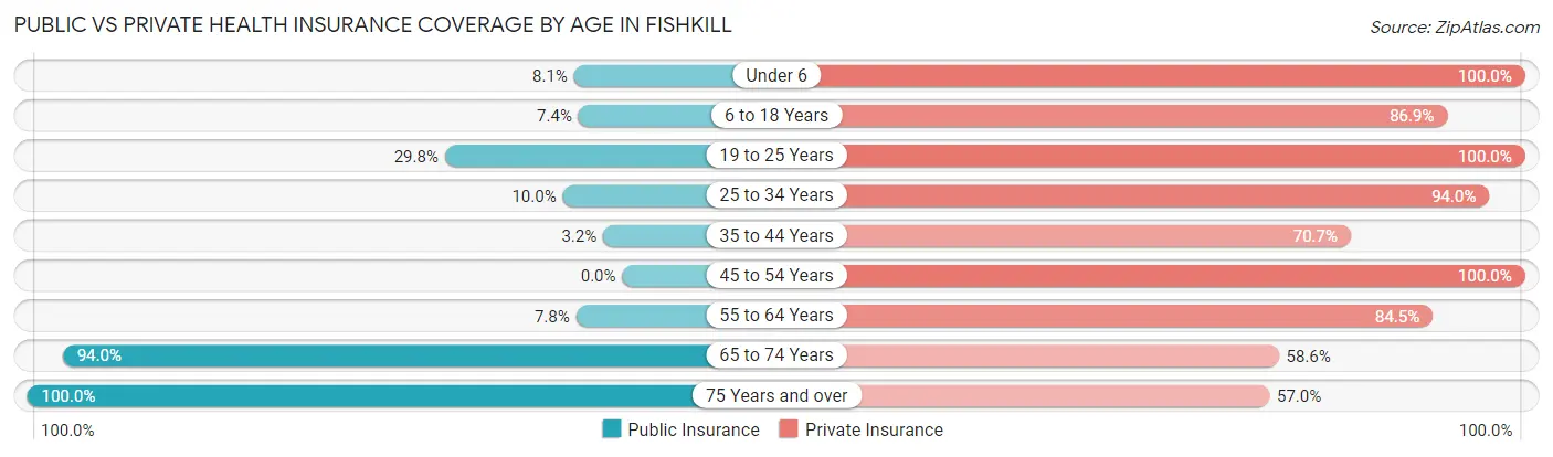 Public vs Private Health Insurance Coverage by Age in Fishkill