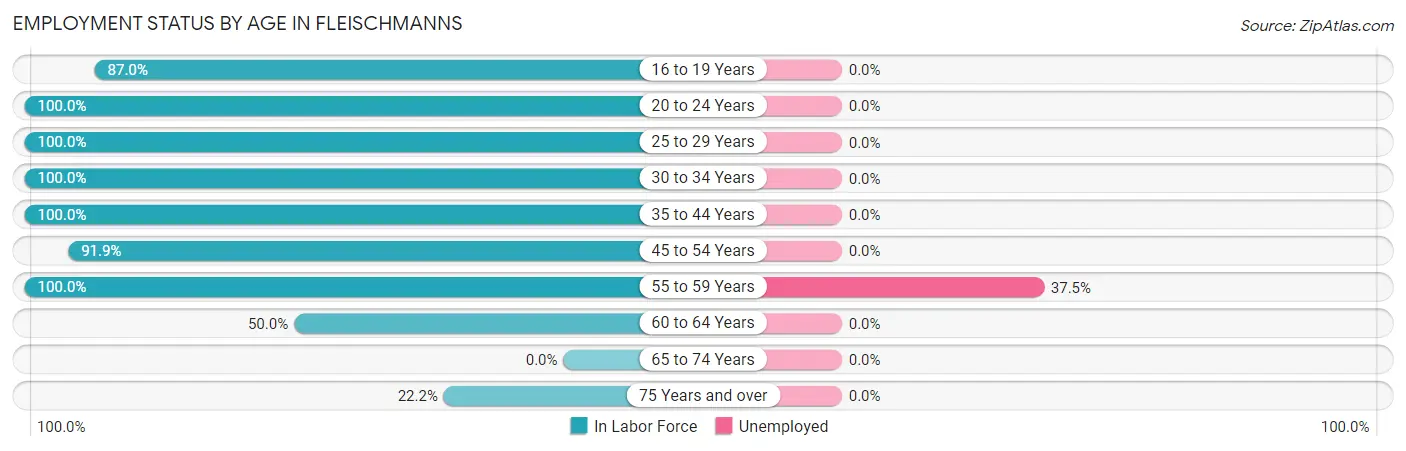 Employment Status by Age in Fleischmanns