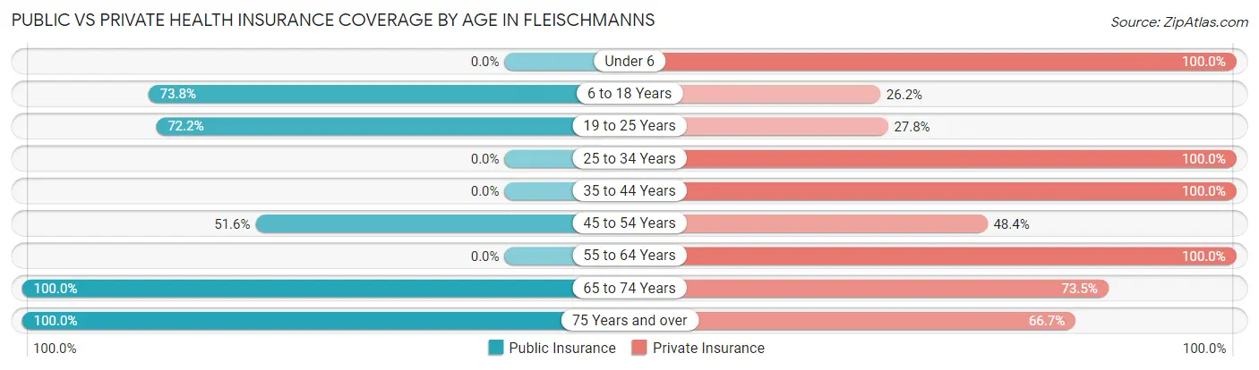 Public vs Private Health Insurance Coverage by Age in Fleischmanns