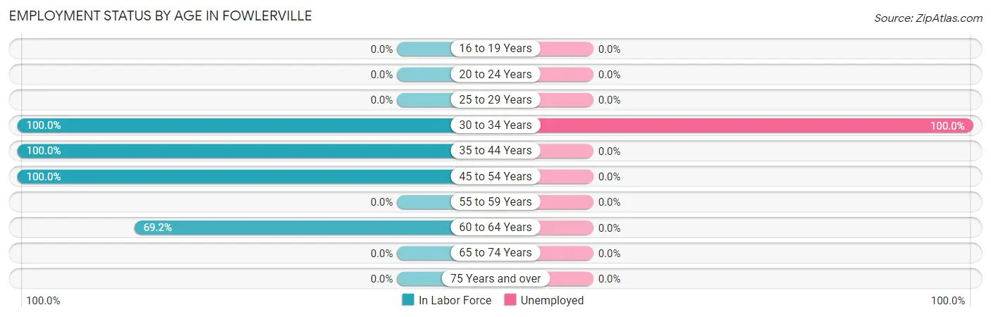 Employment Status by Age in Fowlerville