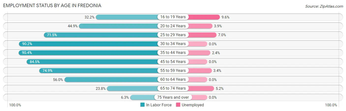 Employment Status by Age in Fredonia