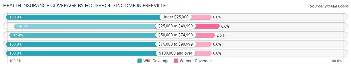 Health Insurance Coverage by Household Income in Freeville