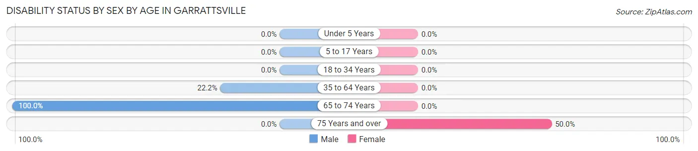 Disability Status by Sex by Age in Garrattsville