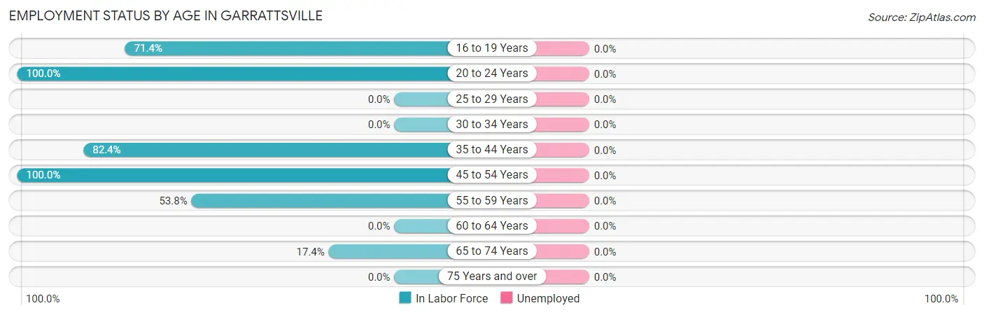 Employment Status by Age in Garrattsville
