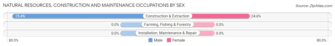 Natural Resources, Construction and Maintenance Occupations by Sex in Gasport
