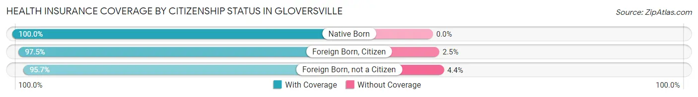 Health Insurance Coverage by Citizenship Status in Gloversville